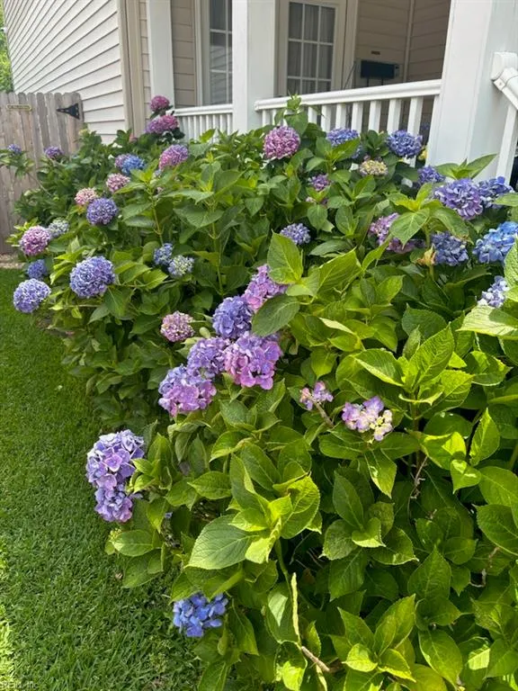 Norfolk, Virginia 23503, United States, 4 Bedrooms Bedrooms, ,3 BathroomsBathrooms,Residential,Active,9985