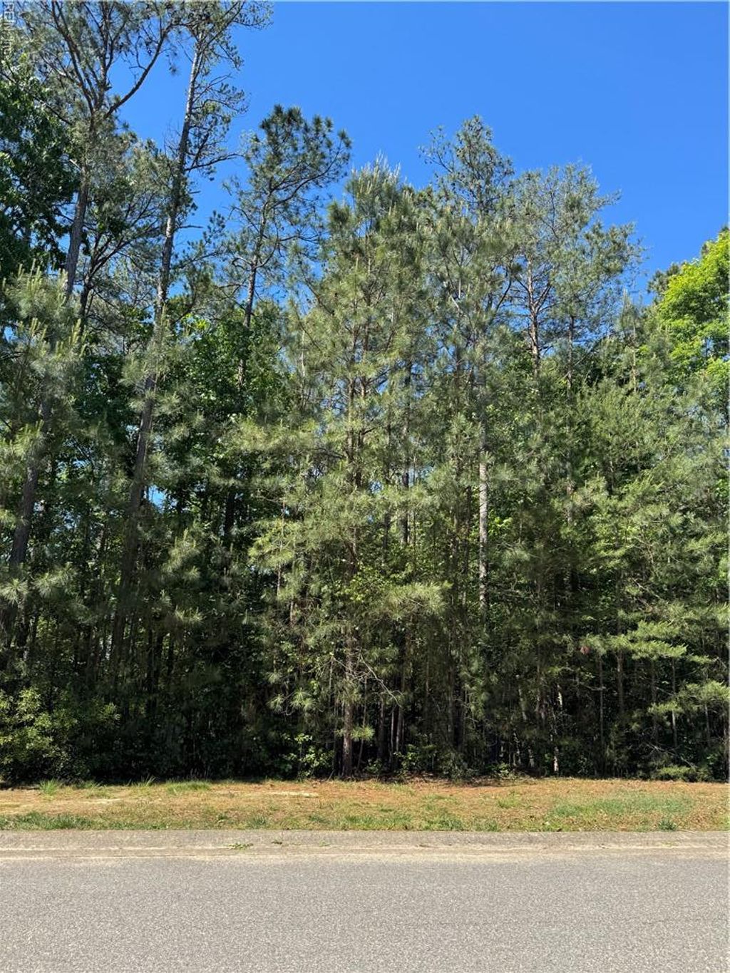 Photo of 5269 Linkshire Lane, Providence Forge, VA 23140 (MLS # 10634252)