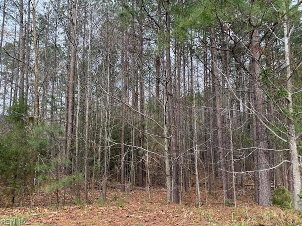 Photo of 11794 Red Cross Bill Way, Providence Forge, VA 23140 (MLS # 10626603)