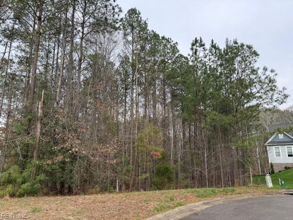 Photo of 11794 Red Cross Bill Way, Providence Forge, VA 23140 (MLS # 10626603)