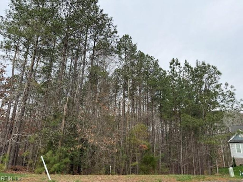 Photo of 11794 Red Cross Bill Way, Providence Forge, VA 23140 (MLS # 10626603)