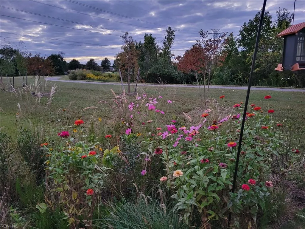 Suffolk, Virginia 23435, United States, 4 Bedrooms Bedrooms, ,3 BathroomsBathrooms,Residential,Pending,12359