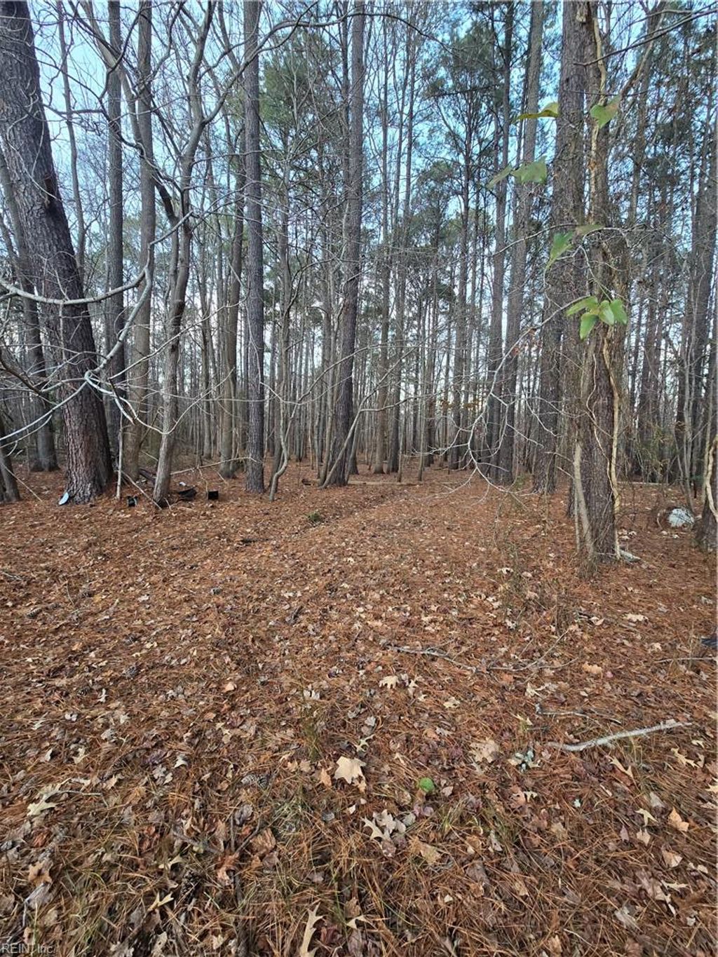 Photo of 183 Crafford RD, Newport News, VA 23603 (MLS # 10635295)