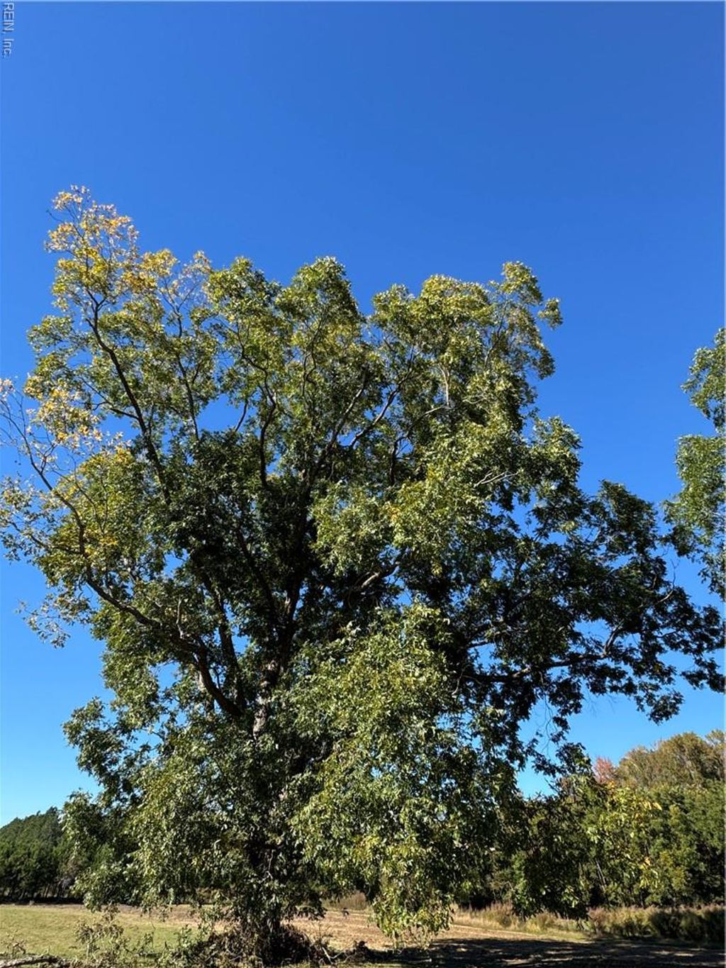 Photo of 15045 Trump Town Road, Windsor, VA 23487 (MLS # 10607727)