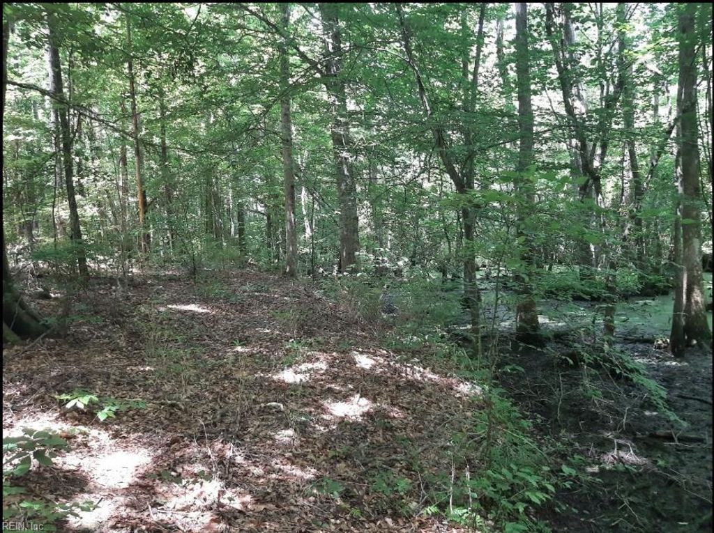 Photo of 6584 Blackwater Road, Virginia Beach, VA 23457 (MLS # 10596528)