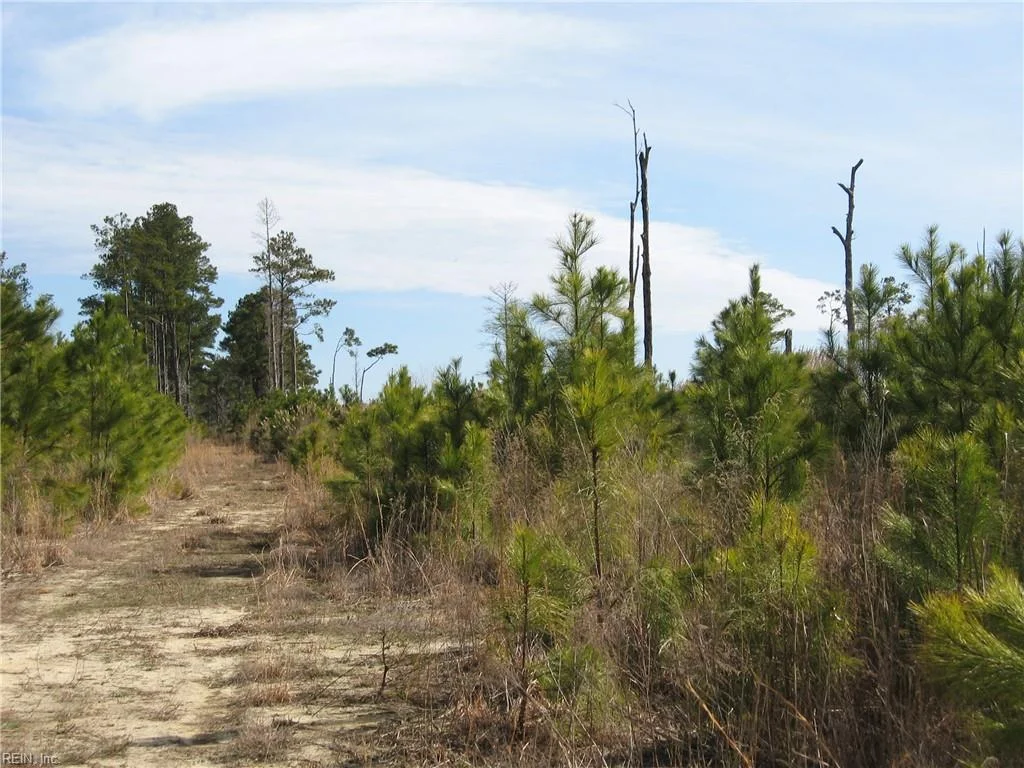 4161 Caratoke Highway, Barco, NC, 27917