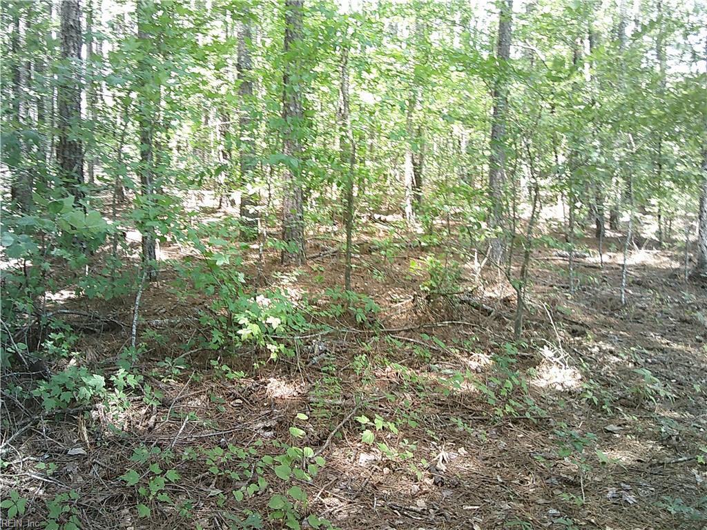 Photo of 8 acs Seacock Chapel Road, Zuni, VA 23898 (MLS # 10648006)
