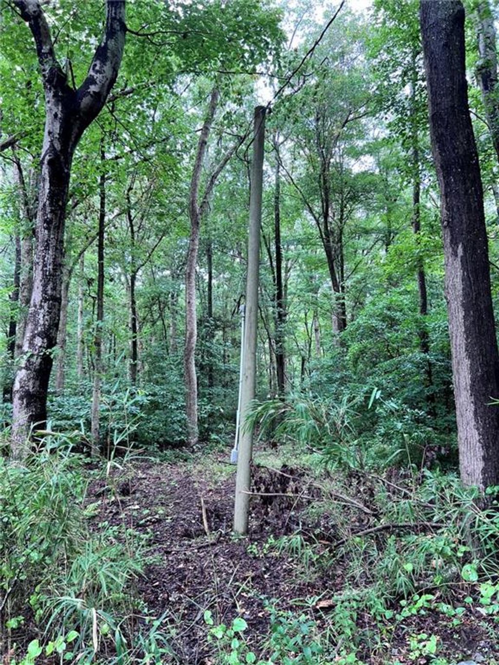 Photo of 1832 Munden Point Road, Virginia Beach, VA 23457 (MLS # 10600007)