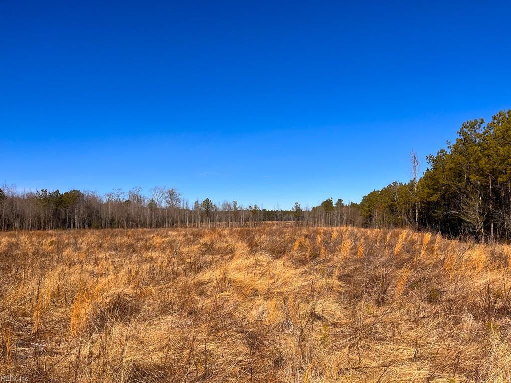 Photo of 107 Acres Taylors Mill Road, Emporia, VA 23847 (MLS # 10617021)