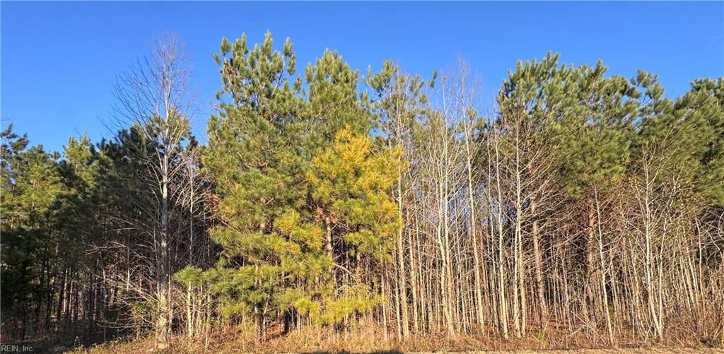 Photo of Lot 3 Carsley Road, Dendron, VA 23839 (MLS # 10618952)