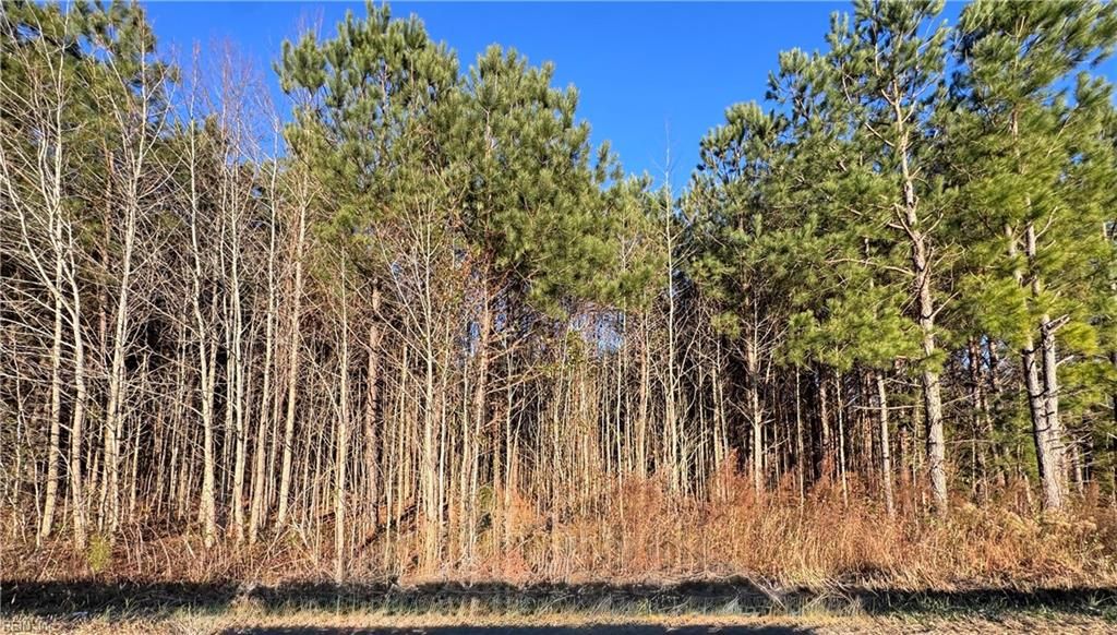 Photo of Lot 3 Carsley Road, Dendron, VA 23839 (MLS # 10618952)