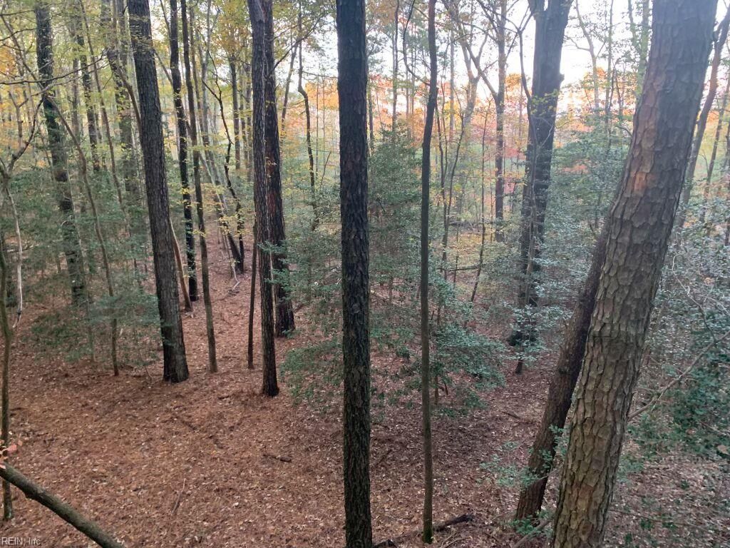 Photo of 11.770 Groton Tract A Woods, Onancock, VA 23417 (MLS # 10635891)