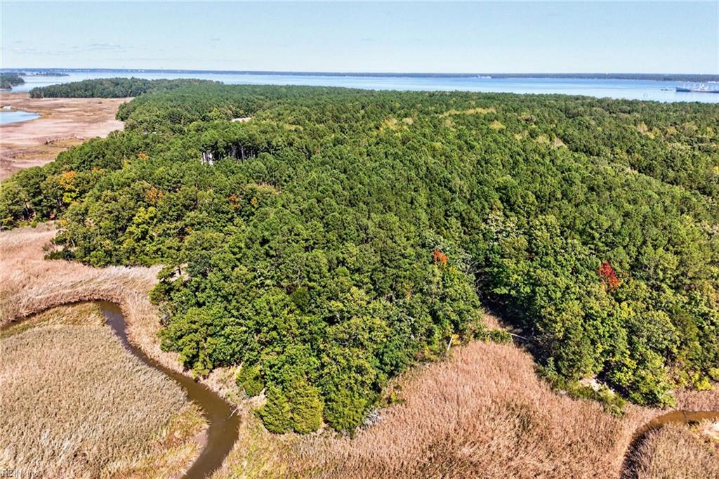 Photo of 14310 Hardys Place, Smithfield, VA 23430 (MLS # 10656849)