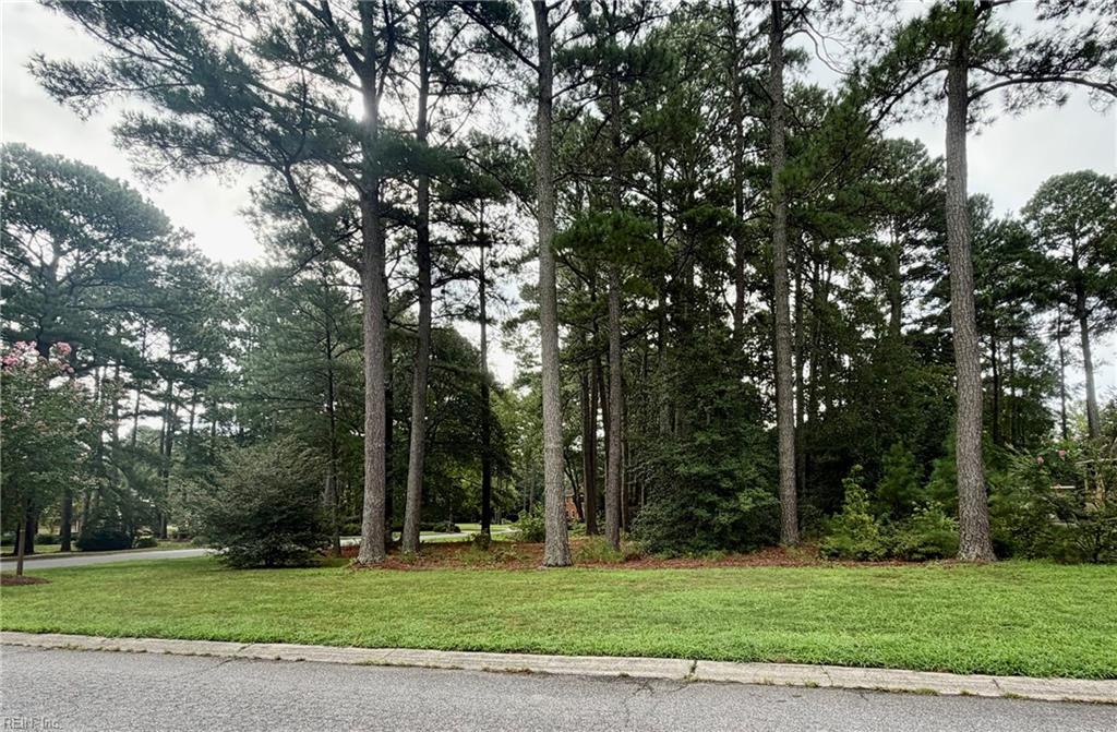 Photo of Lot 8 Pitchkettle Point Drive, Suffolk, VA 23434 (MLS # 10650226)