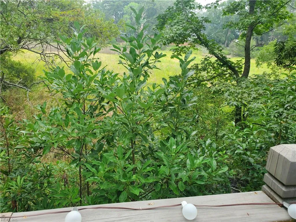 Virginia Beach, Virginia 23454, United States, 4 Bedrooms Bedrooms, ,3 BathroomsBathrooms,Residential,Active,188319