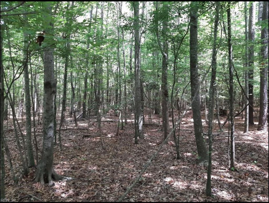 Photo of 6608 Blackwater Road, Virginia Beach, VA 23457 (MLS # 10599349)