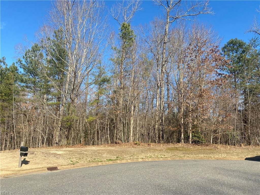 Photo of 208 Monifieth, Williamsburg, VA 23188 (MLS # 10606708)
