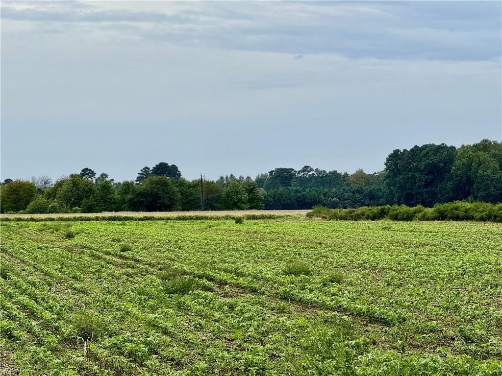 Photo of 2025 Pungo Ridge Court, Virginia Beach, VA 23457 (MLS # 10603882)