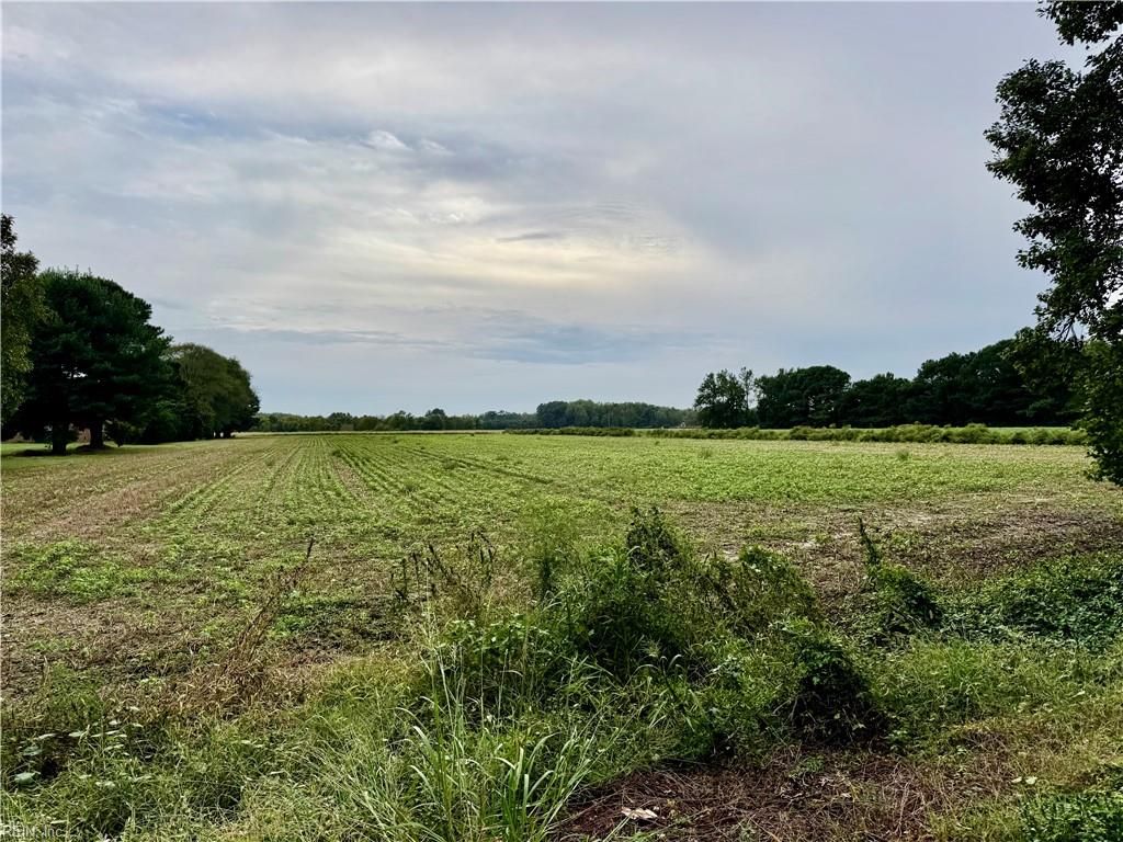 Photo of 2025 Pungo Ridge Court, Virginia Beach, VA 23457 (MLS # 10603882)