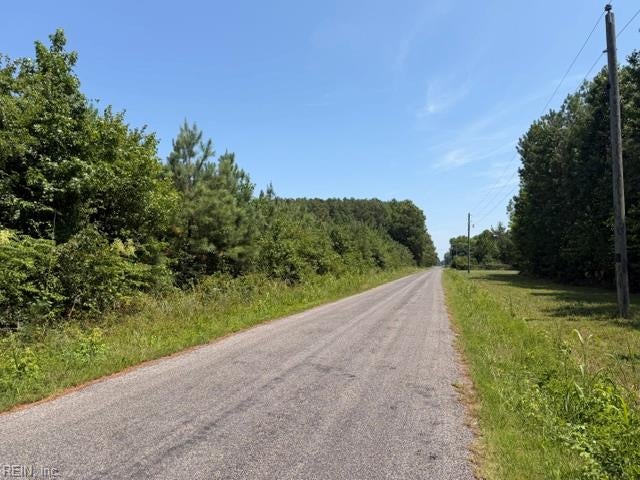 Rural road bordered by dense trees and grass beneath a clear blue sky.