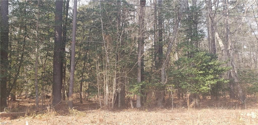 Photo of 70 Homestead Lane, Franklin, VA 23851 (MLS # 10626205)