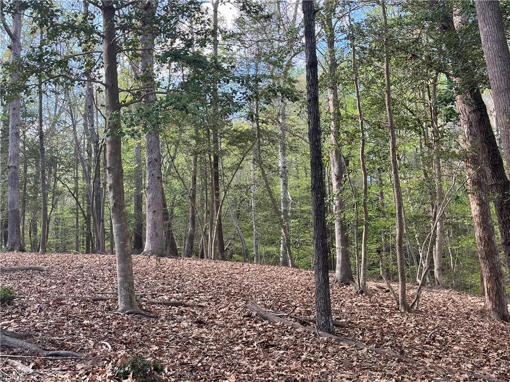 Photo of Lot 2 Eagle Lane, Surry, VA 23883 (MLS # 10628475)