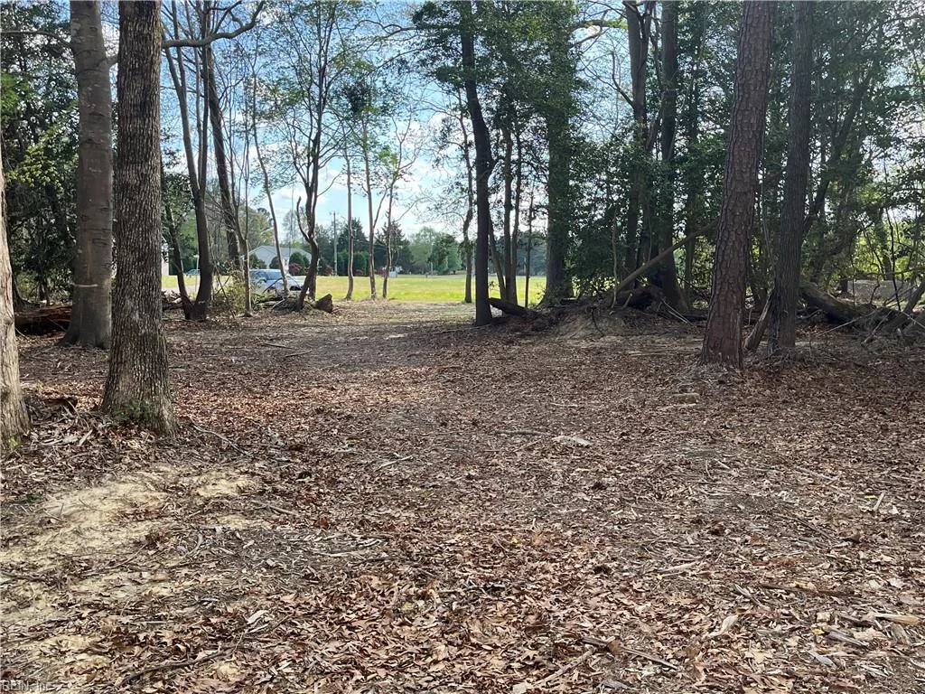 Lot 2 Eagle Lane, Surry, VA, 23883
