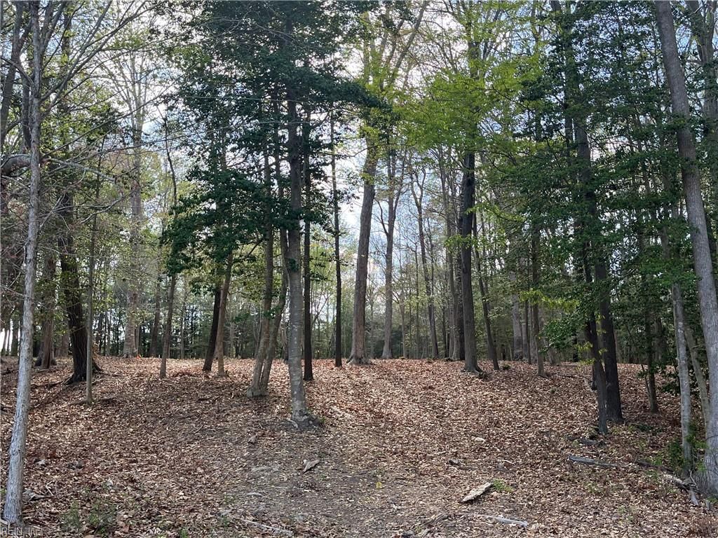 Photo of Lot 2 Eagle Lane, Surry, VA 23883 (MLS # 10628475)