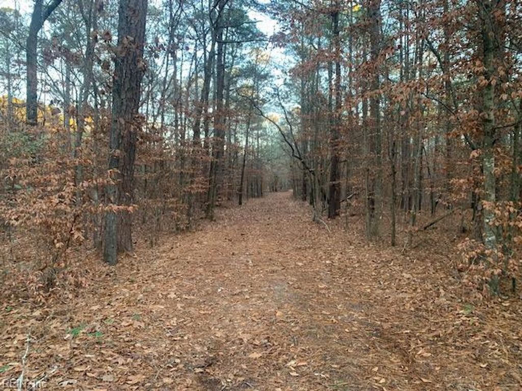 Photo of 5217 Blackie Lane, Zuni, VA 23898 (MLS # 10613960)