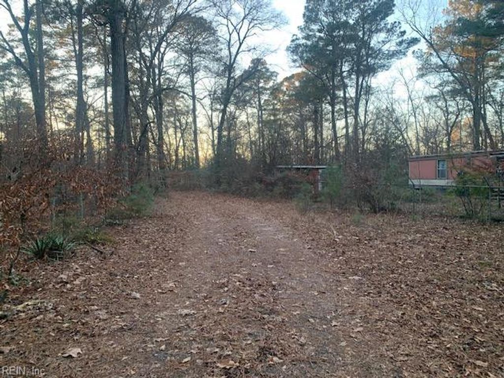 Photo of 5217 Blackie Lane, Zuni, VA 23898 (MLS # 10613960)