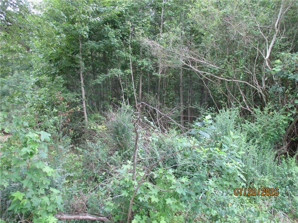 Photo of 5701 Old Union Road, Charles City, VA 23030 (MLS # 10646155)