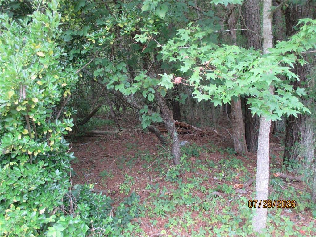 Photo of 5701 Old Union Road, Charles City, VA 23030 (MLS # 10646155)