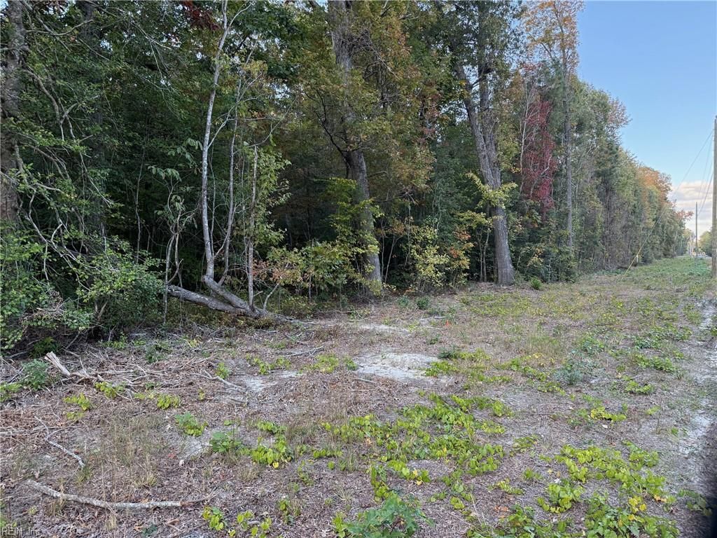 Photo of 3AC Hog Island Lot 3 Road, Surry, VA 23883 (MLS # 10607525)