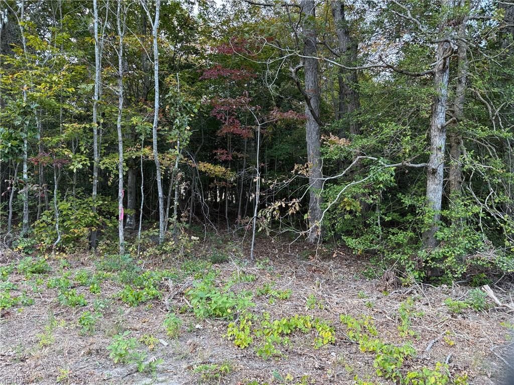 Photo of 3AC Hog Island Lot 3 Road, Surry, VA 23883 (MLS # 10607525)