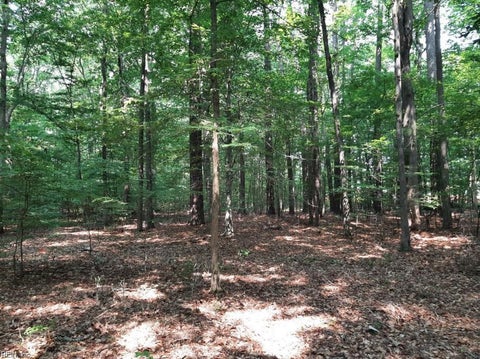 Photo for 6628 Blackwater RD