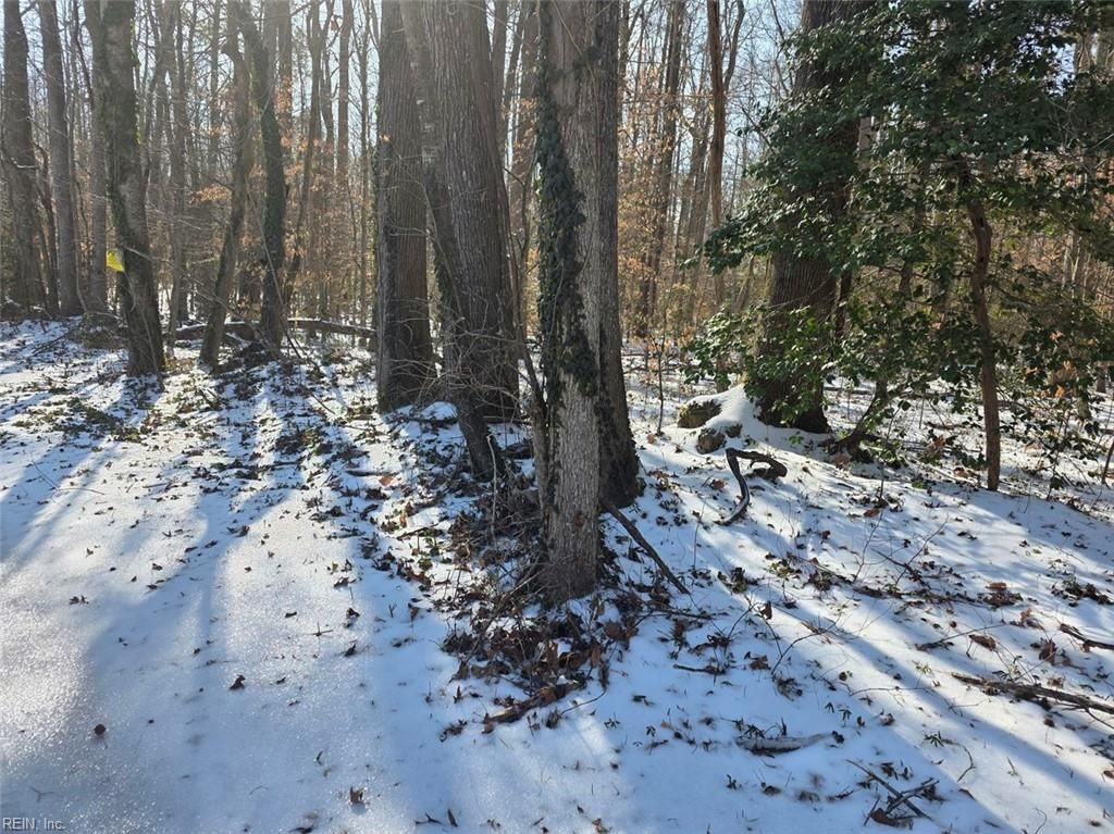 Photo of 10+AC Whitetail Drive, Gloucester, VA 23061 (MLS # 10619496)