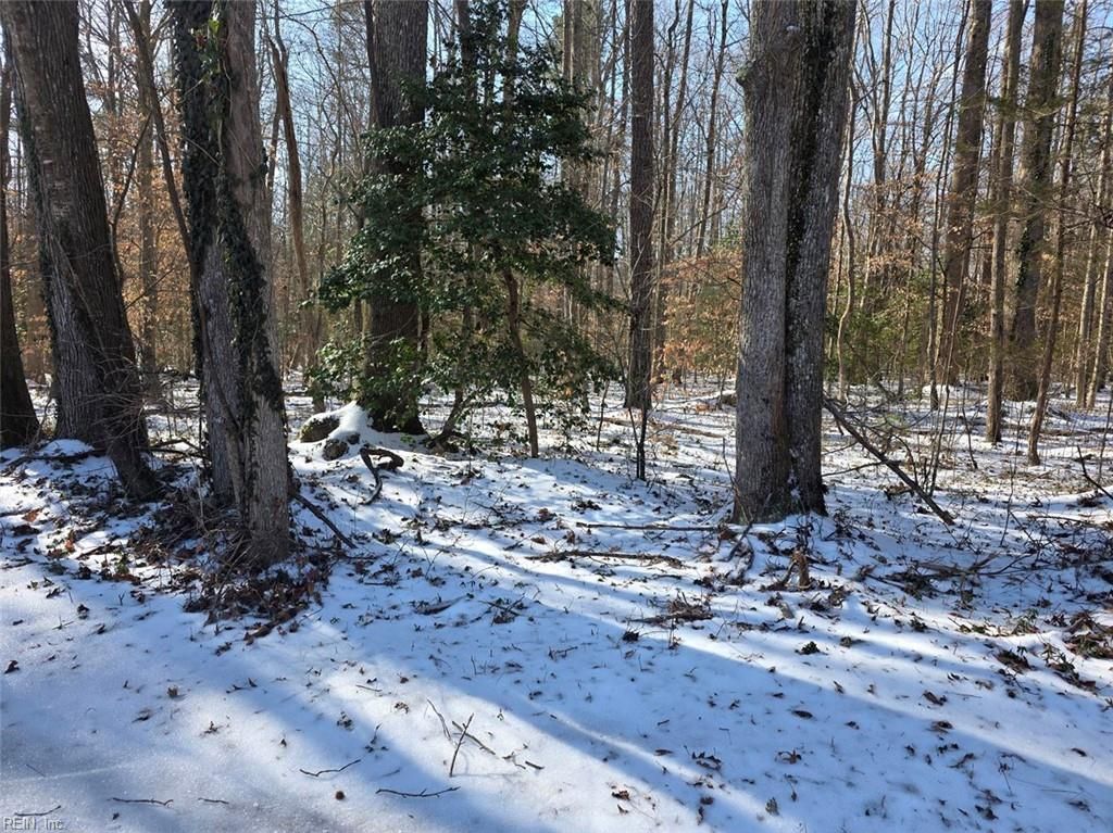 Photo of 10+AC Whitetail Drive, Gloucester, VA 23061 (MLS # 10619496)