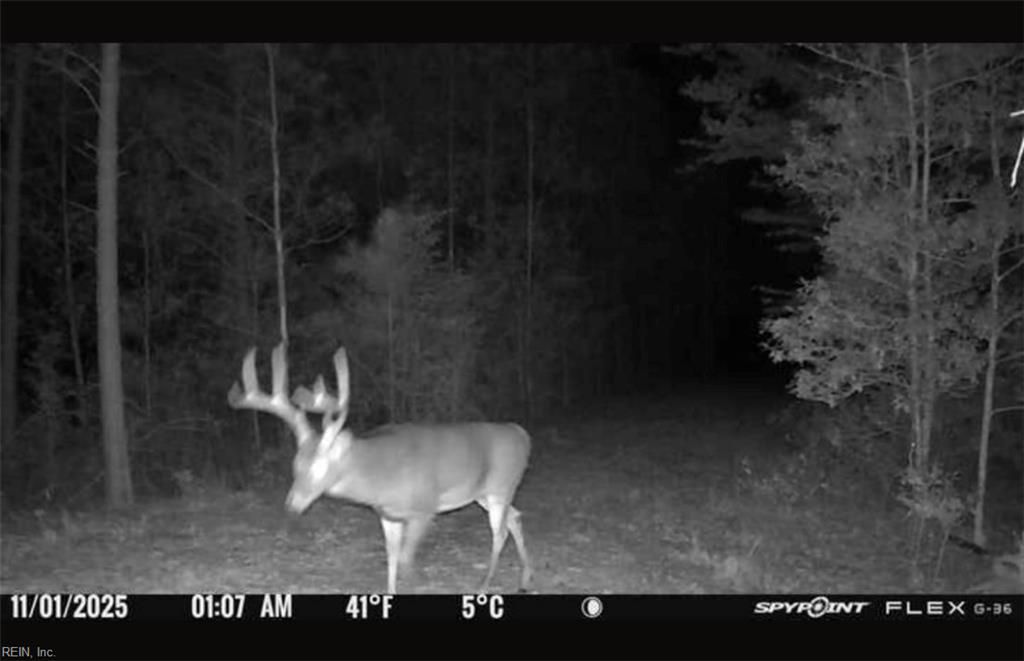 Photo of Lot 6 Fox Chase Drive, Dendron, VA 23839 (MLS # 10624240)