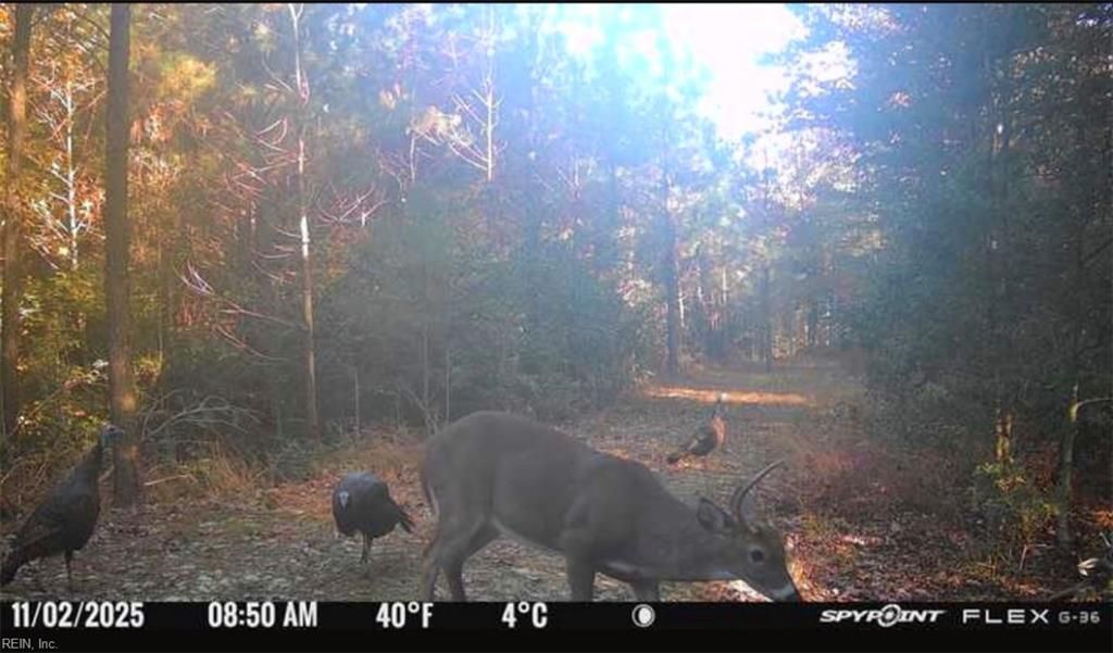 Photo of Lot 6 Fox Chase Drive, Dendron, VA 23839 (MLS # 10624240)