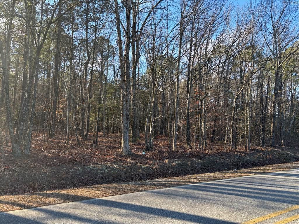 Photo of 0 Eleytown Road, Murfreesboro, NC 27855 (MLS # 10616833)