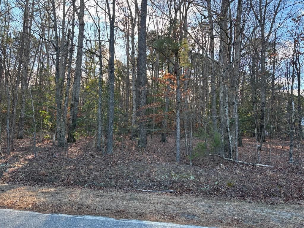 Photo of 0 Eleytown Road, Murfreesboro, NC 27855 (MLS # 10616833)