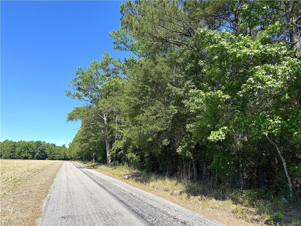 Photo of 28 AC Concord Sappony Road, Stony Creek, VA 23882 (MLS # 10635699)