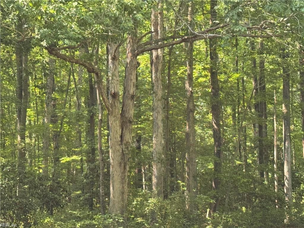 Photo of .26+AC Nansemond Parkway Parkway, Suffolk, VA 23434 (MLS # 10628201)