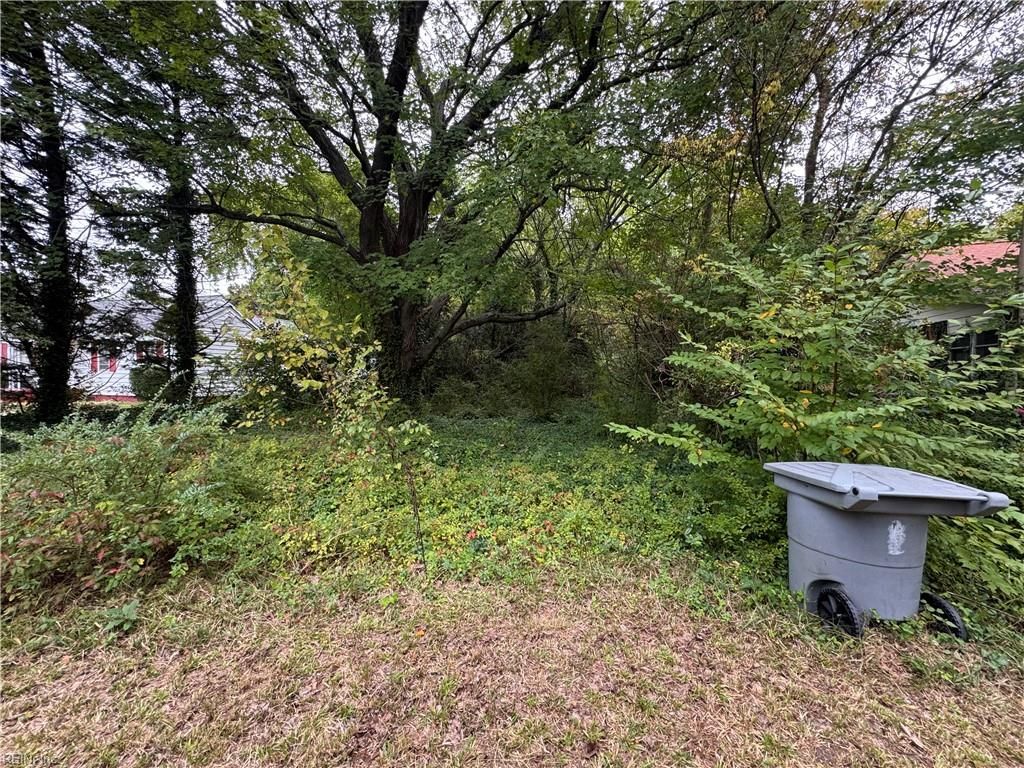 Photo of 6004 Potomac Avenue, Newport News, VA 23605 (MLS # 10608754)