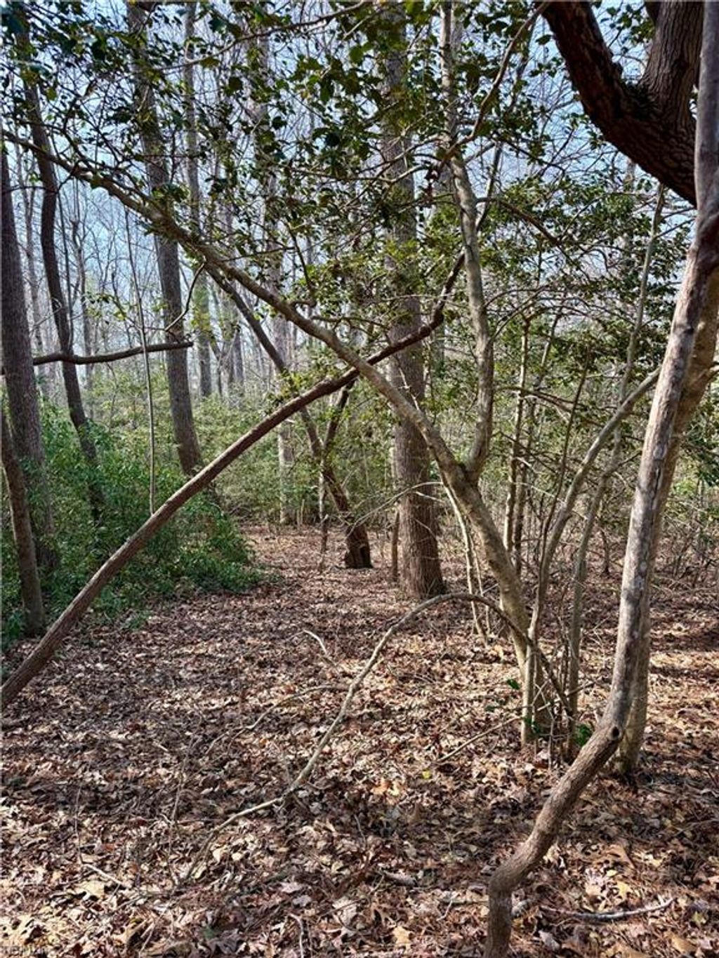 Photo of 8135 Wrenfield Dr Drive, Williamsburg, VA 23188 (MLS # 10626969)