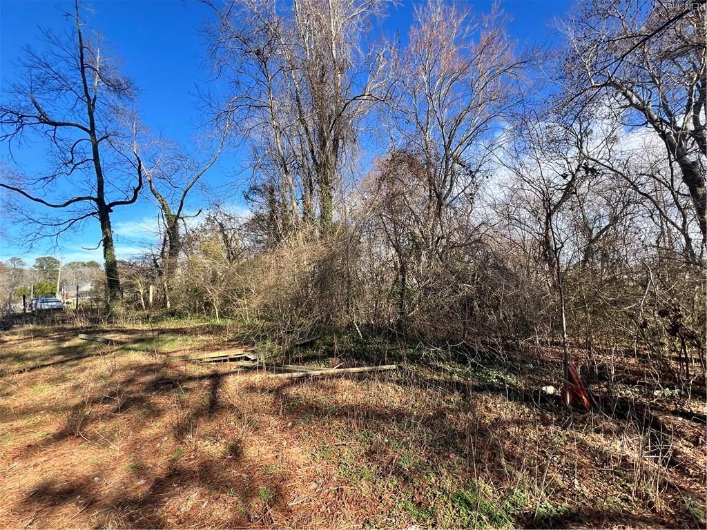 Photo of Lot 19 Douglas Avenue, Chesapeake, VA 23323 (MLS # 10623920)