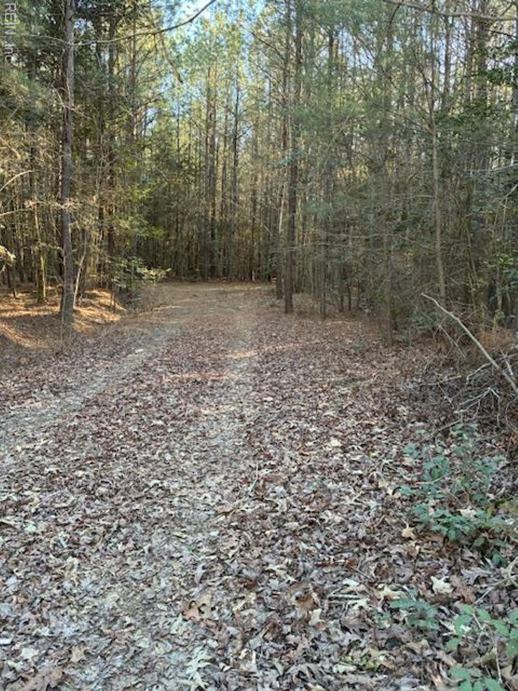 Photo of 00 Horse Run Road, Gloucester, VA 23061 (MLS # 10626552)