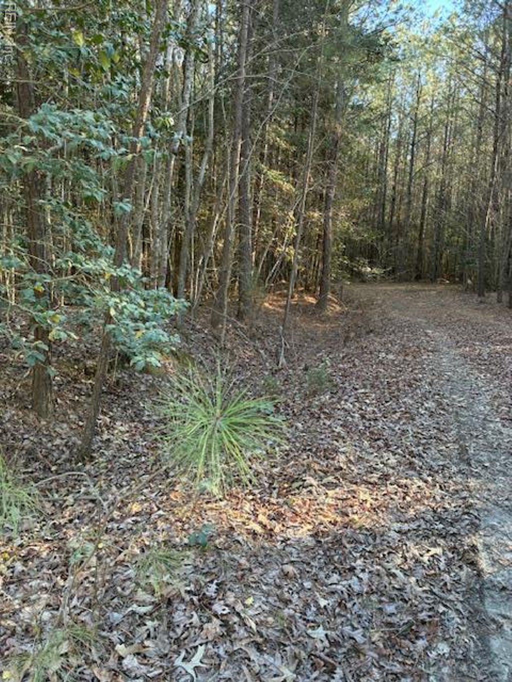 Photo of 00 Horse Run Road, Gloucester, VA 23061 (MLS # 10626552)