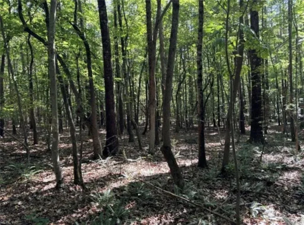 44 AC Blue Jay Street, Danville, VA, 24541