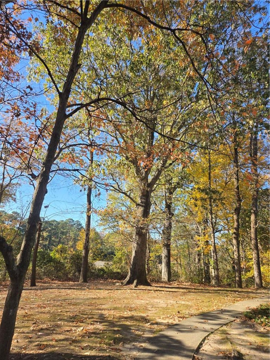 Photo of 904 Drift Tide Drive, Virginia Beach, VA 23464 (MLS # 10611895)